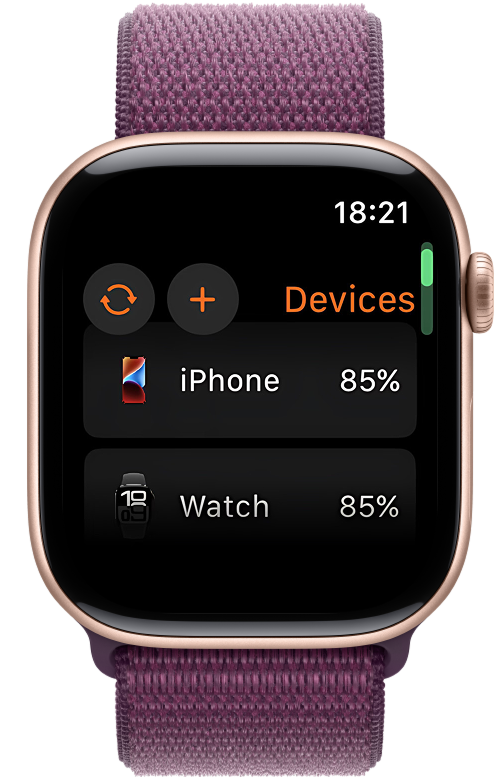 Main screen of Battery Life Widgets on Apple Watch